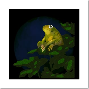 Quiet Summer Nights - Frog Posters and Art